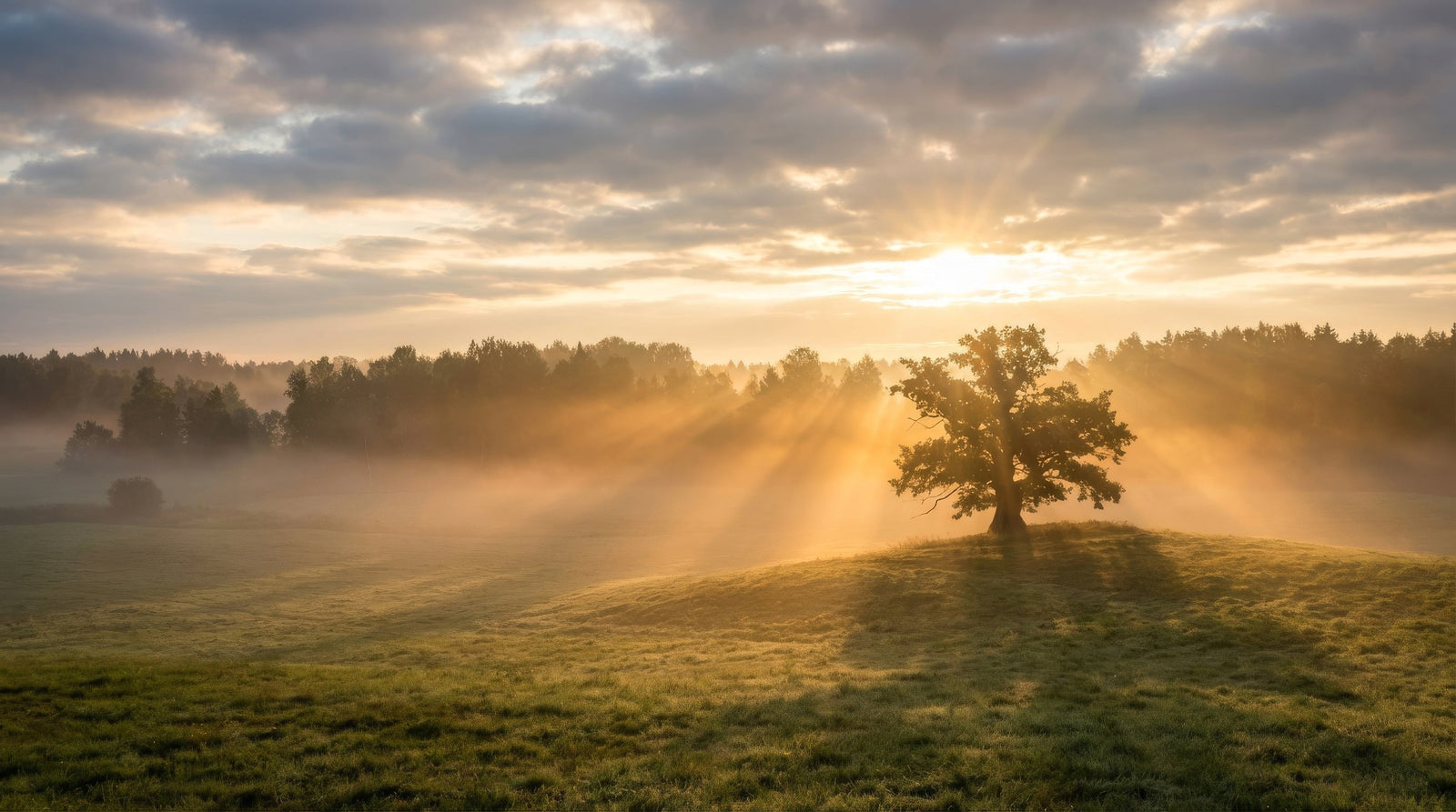 Zur rechten Zeit führen: Geistliche Unterscheidung im Leadership